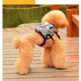 ハーネスリードセット リュックタイプ ペット用 | PlusNao | 詳細画像3 