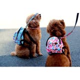 ハーネスリードセット リュックタイプ ペット用 | PlusNao | 詳細画像5 