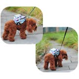 ハーネスリードセット リュックタイプ ペット用 | PlusNao | 詳細画像6 