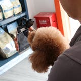 ペット用自撮り棒 セルカ棒 セルフィスティック | PlusNao | 詳細画像2 