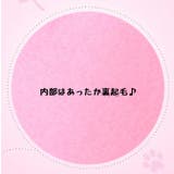 ミニキャリー 移動用キャリーバッグ S | PlusNao | 詳細画像11 