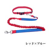 ウエストリード ハンズフリー リード | PlusNao | 詳細画像15 