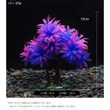 人工プランツ 人工水草 フェイクグリーン | PlusNao | 詳細画像3 