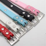 犬用首輪 リード 単品 | PlusNao | 詳細画像3