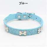 犬用首輪 リード 単品 | PlusNao | 詳細画像5