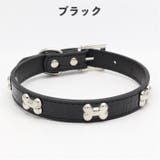 犬用首輪 リード 単品 | PlusNao | 詳細画像6