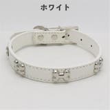 犬用首輪 リード 単品 | PlusNao | 詳細画像7