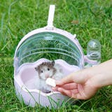 ペットキャリー ペット用キャリーケース ハムスター | PlusNao | 詳細画像3 