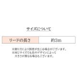 伸縮リード 自動巻き取り式 3m | PlusNao | 詳細画像18