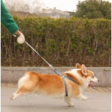 伸縮リード 自動巻き取り式 3m | PlusNao | 詳細画像3