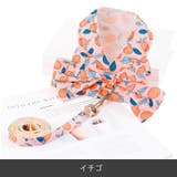 ハーネス リード セット | PlusNao | 詳細画像10