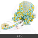ハーネス リード セット | PlusNao | 詳細画像13