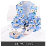 ハーネス リード セット | PlusNao | 詳細画像9
