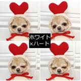 ドッグウェア 犬の服 パーカー | PlusNao | 詳細画像16