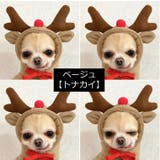 ドッグウェア 犬の服 パーカー | PlusNao | 詳細画像18