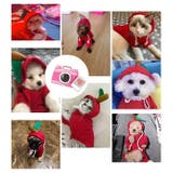 ドッグウェア 犬の服 パーカー | PlusNao | 詳細画像2