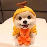 ドッグウェア 犬の服 パーカー | PlusNao | 詳細画像3