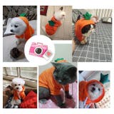 ドッグウェア 犬の服 パーカー | PlusNao | 詳細画像6