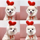 ドッグウェア 犬の服 パーカー | PlusNao | 詳細画像9