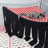 ペット用ハンモック 小動物用ハンモック 吊り下げ | PlusNao | 詳細画像2