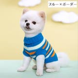 ペットウェア ニット セーター | PlusNao | 詳細画像11 