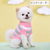 ペットウェア ニット セーター | PlusNao | 詳細画像12 