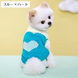 ペットウェア ニット セーター | PlusNao | 詳細画像6 