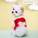 ペットウェア ニット セーター | PlusNao | 詳細画像7 