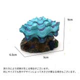 エアレーション用オブジェ エアレーションオーナメント アクアリウム用品 | PlusNao | 詳細画像10 