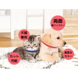 パピーカラー パピーマーカー 12色セット | PlusNao | 詳細画像2