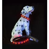リード 単品 犬用 | PlusNao | 詳細画像5
