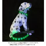 リード 単品 犬用 | PlusNao | 詳細画像6