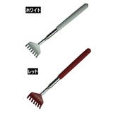 ペット用ブラシ 伸縮式 犬 | PlusNao | 詳細画像16