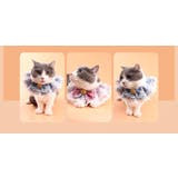 ペット用チョーカー ネックレス 首飾り | PlusNao | 詳細画像7