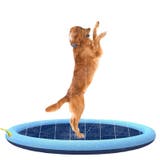 噴水マット ペット用 犬用 | PlusNao | 詳細画像3