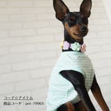 チョーカー 首飾り 首輪 | PlusNao | 詳細画像7 