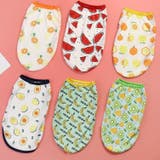 ペット用タンクトップ ペット用トップス ペットウェア | PlusNao | 詳細画像3
