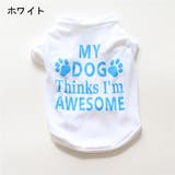ペット用 犬用 洋服 | PlusNao | 詳細画像14