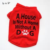 ペット用 犬用 洋服 | PlusNao | 詳細画像15