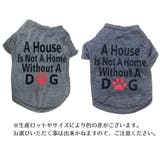 ペット用 犬用 洋服 | PlusNao | 詳細画像17