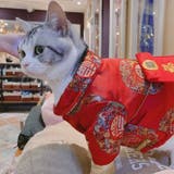 ドッグウェア チャイナ服 犬服 | PlusNao | 詳細画像10 