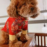 ドッグウェア チャイナ服 犬服 | PlusNao | 詳細画像2 