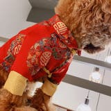 ドッグウェア チャイナ服 犬服 | PlusNao | 詳細画像3 