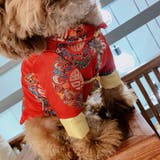 ドッグウェア チャイナ服 犬服 | PlusNao | 詳細画像5 