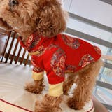 ドッグウェア チャイナ服 犬服 | PlusNao | 詳細画像6 