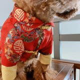 ドッグウェア チャイナ服 犬服 | PlusNao | 詳細画像7 