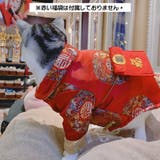 ドッグウェア チャイナ服 犬服 | PlusNao | 詳細画像9 