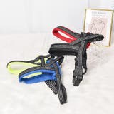 ハーネス 胴輪 犬用品 | PlusNao | 詳細画像6 