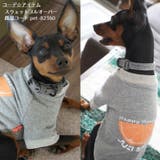 首輪 犬用 小型犬 | PlusNao | 詳細画像3