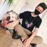 ペットウェア ペット服 ドッグウェア | PlusNao | 詳細画像6